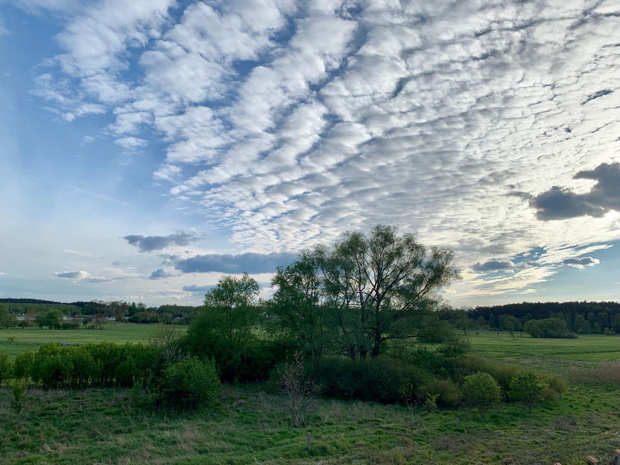 Willa Lakowa Gostynin Buitenkant foto
